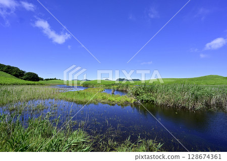 索尼高原:美麗的夏日綠毯 索尼高原:美麗的夏日綠毯 128674361