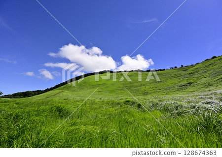 Soni Plateau: A beautiful summer green carpet 128674363