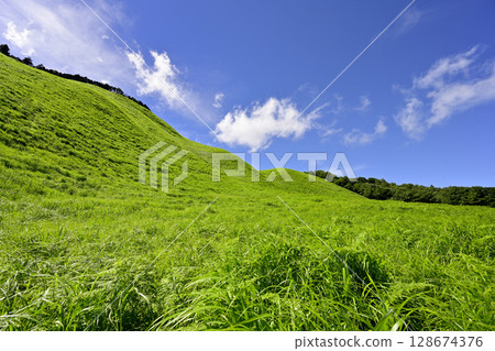 索尼高原：美麗的夏日綠毯 128674376