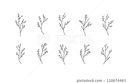 Delicate Botanical Branch. Delicate Botanical Branch showcases a minimalist hand-drawn twig with gentle curves and fine leaves, ideal for refined botanical design. Delicate Botanical Branch. Delicate Botanical Branch showcases a minimalist hand-drawn twig with gentle curves and fine leaves, ideal for refined botanical design. 128674463