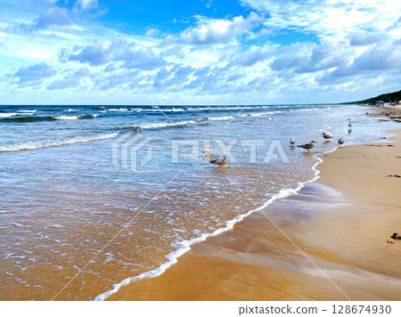 beautiful summer landscape with sea 128674930