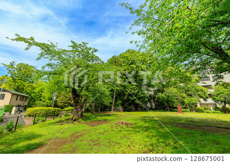 有棲川紀念公園（東京都港區南麻布） 128675001