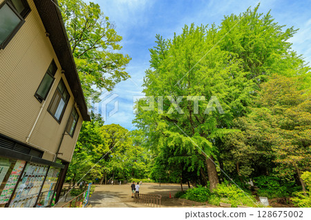 有棲川紀念公園（東京都港區南麻布） 128675002