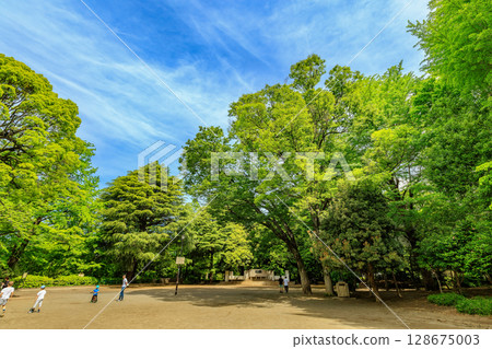 有棲川紀念公園（東京都港區南麻布） 128675003
