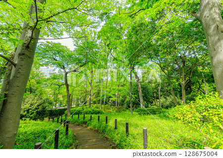 Arisugawa Memorial Park in Minami-Azabu, Minato Ward, Tokyo Arisugawa Memorial Park in Minami-Azabu, Minato Ward, Tokyo 128675004