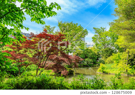 Arisugawa Memorial Park in Minami-Azabu, Minato Ward, Tokyo 128675009