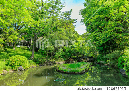 有棲川紀念公園（東京都港區南麻布） 128675015