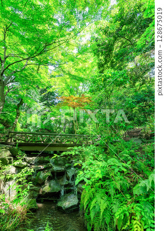 Arisugawa Memorial Park in Minami-Azabu, Minato Ward, Tokyo 128675019