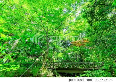 Arisugawa Memorial Park in Minami-Azabu, Minato Ward, Tokyo Arisugawa Memorial Park in Minami-Azabu, Minato Ward, Tokyo 128675020