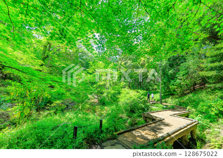 有棲川紀念公園（東京都港區南麻布） 128675022