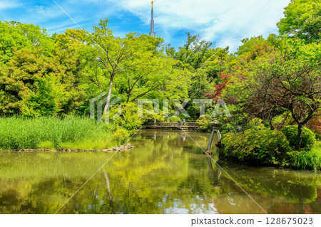 Arisugawa Memorial Park in Minami-Azabu, Minato Ward, Tokyo Arisugawa Memorial Park in Minami-Azabu, Minato Ward, Tokyo 128675023