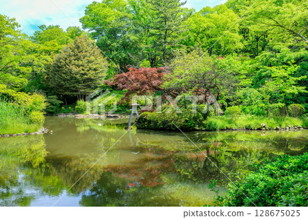 有棲川紀念公園（東京都港區南麻布） 128675025