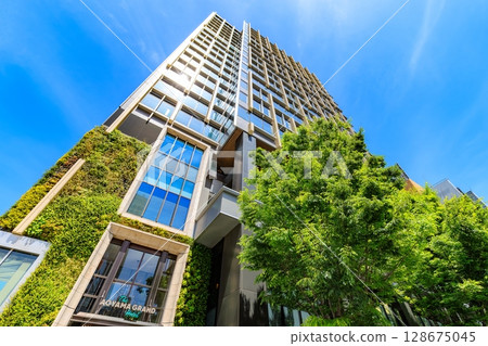 Cityscape near Minami-Aoyama 3-chome intersection, Minato-ku, Tokyo 128675045