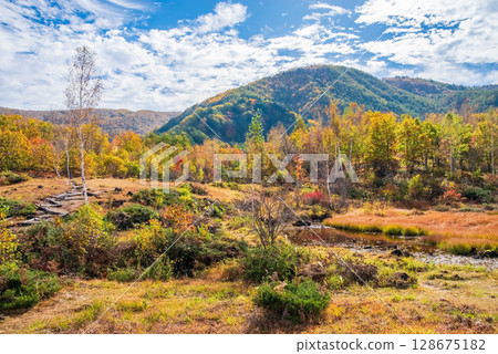 [Autumn in Norikura Highlands] Autumn foliage around Maimenoike Pond and Omoibuike Pond 128675182