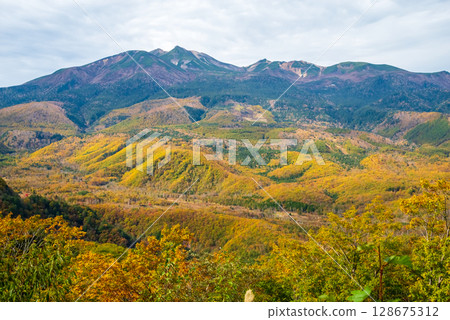 "Autumn in Norikura Plateau" View from Kamikochi Norikura Super Forest Road "Autumn in Norikura Plateau" View from Kamikochi Norikura Super Forest Road 128675312