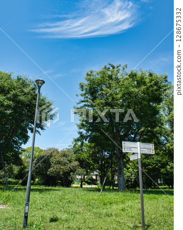 Scenery of Yumenoshima Park in Koto Ward, Tokyo 128675332