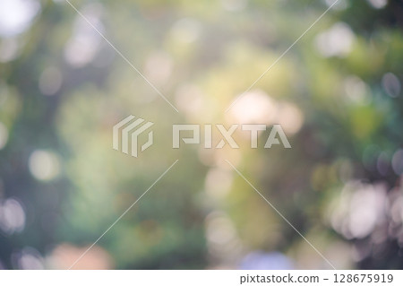 bokeh blur background light through trees bokeh effect 128675919