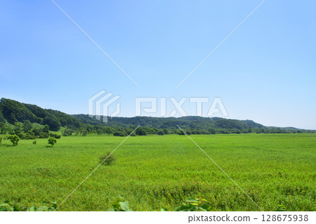 從常豐號誌站到白糠站的 JR 北海道根室線列車車窗看到的景色 128675938