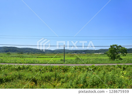 從常豐號誌站到白糠站的 JR 北海道根室線列車車窗看到的景色 從常豐號誌站到白糠站的 JR 北海道根室線列車車窗看到的景色 128675939
