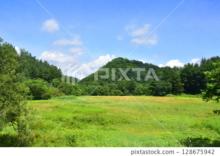 View from the train window on JR Hokkaido's Nemuro Line from Tsunetoyo Signal Station to Shiranuka Station 128675942