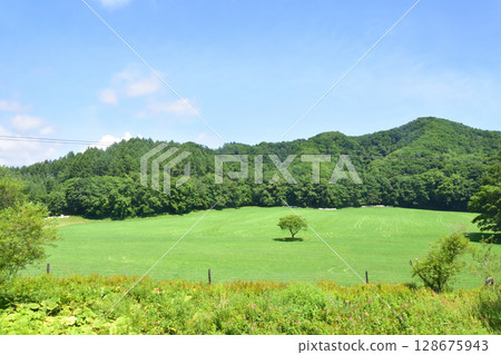 從常豐號誌站到白糠站的 JR 北海道根室線列車車窗看到的景色 128675943