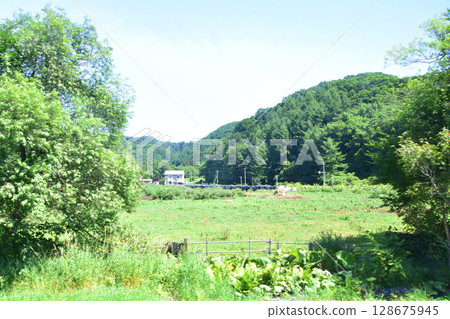 從常豐號誌站到白糠站的 JR 北海道根室線列車車窗看到的景色 從常豐號誌站到白糠站的 JR 北海道根室線列車車窗看到的景色 128675945