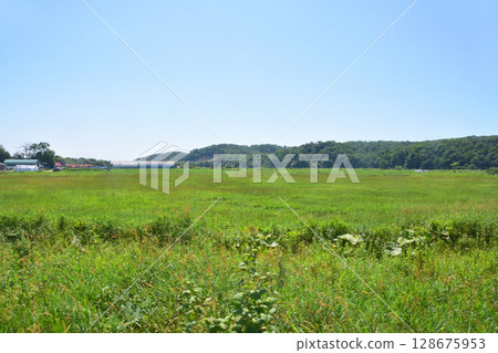 View from the train window on JR Hokkaido's Nemuro Line from Tsunetoyo Signal Station to Shiranuka Station 128675953
