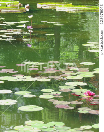 Nagoya Flarie Nagoya Flarie 128676048