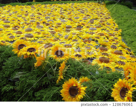 Nagoya Building Himawari Nagoya Building Himawari 128676061