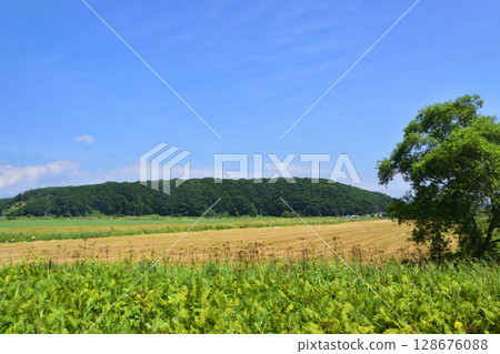 View from the train window on JR Hokkaido's Nemuro Line from Shiranuka Station to Kushiro Station 128676088