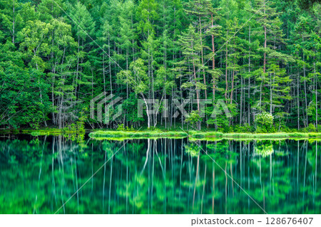 Nagano, Mishaka Pond: A fantastical water mirror of deep green Nagano, Mishaka Pond: A fantastical water mirror of deep green 128676407