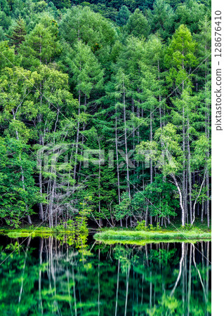 長野縣 禦散迦池：如夢似幻的深綠色水鏡 128676410