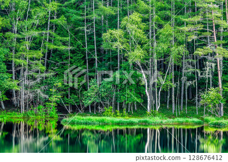 Nagano, Mishaka Pond: A fantastical water mirror of deep green Nagano, Mishaka Pond: A fantastical water mirror of deep green 128676412