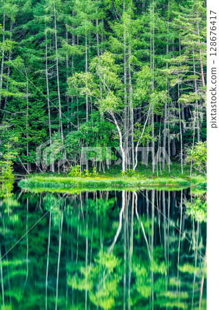 長野縣 禦散迦池：如夢似幻的深綠色水鏡 128676417