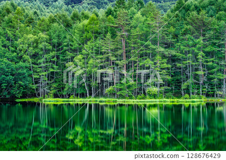 Nagano, Mishaka Pond: A fantastical water mirror of deep green 128676429
