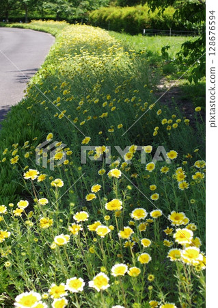 比北山公園花卉廣場景觀 比北山公園花卉廣場景觀 128676594