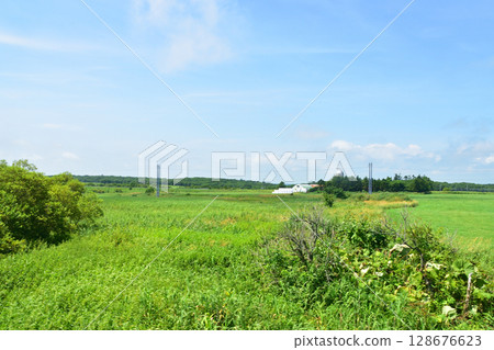 View from the train window on JR Hokkaido's Nemuro Line from Hama-naka Station to Atsuboko Station 128676623