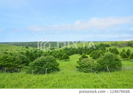 View from the train window on JR Hokkaido's Nemuro Line from Atsuboko Station to Ochiishi Station 128676686