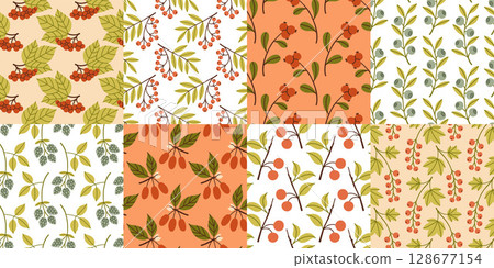 Autumn berry seamless pattern set. Fall berries on isolated background. Square repeat pattern flat design for fall season. Autumn berry seamless pattern set. Fall berries on isolated background. Square repeat pattern flat design for fall season. 128677154