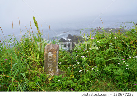 Misty Cape Nosappu (2023) 128677222