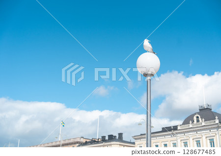 [Helsinki, Finland] Sunny cityscape, sea and seagulls 128677485