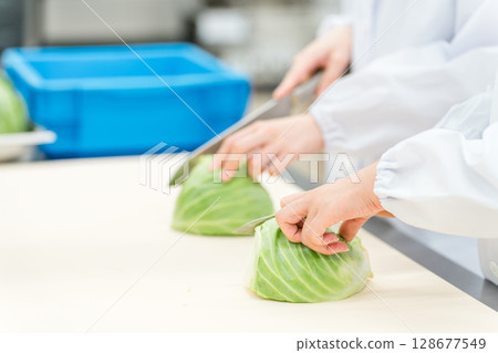 The hands of a staff member cutting cabbage at a food processing plant 128677549