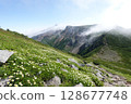 富良野岳橫斷道和上幌山盛開的老鼠簕 128677748