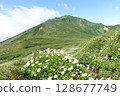 禦嶽山和富良野山的花田 128677749