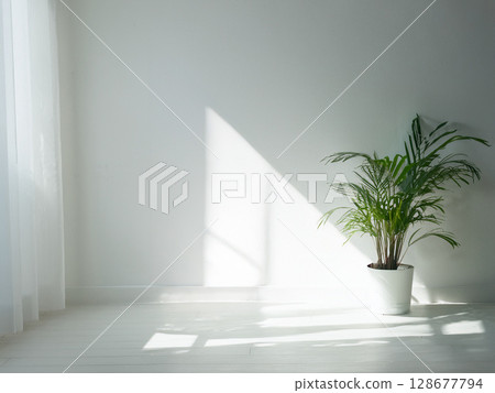 A room with a beautiful contrast of light and shadow and potted plants 128677794