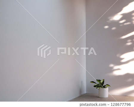 Small plants, light and shadows in a space that speaks of white space 128677796