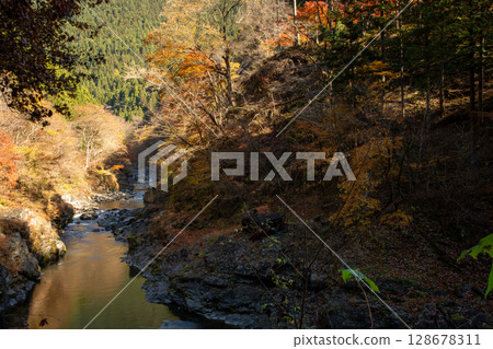 秩父市荒川溪谷的紅葉與清澈溪流的自然景觀 128678311