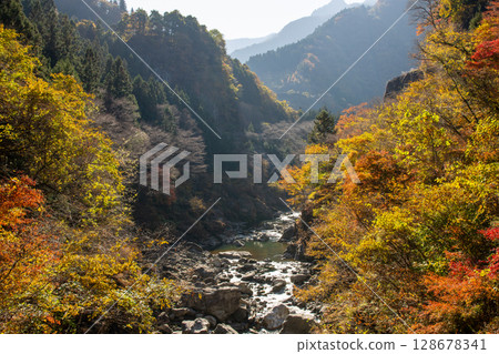 流經秩父市的荒川與紅葉覆蓋的山谷的秋景 流經秩父市的荒川與紅葉覆蓋的山谷的秋景 128678341