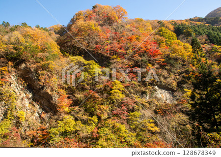 秩父市山腰上紅葉與藍天交相輝映的絕美景色 128678349