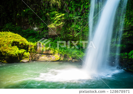 Jion Falls with fresh greenery [Hita City, Oita Prefecture] 128678971